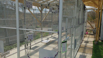 UPenn Smart Aviary featured image